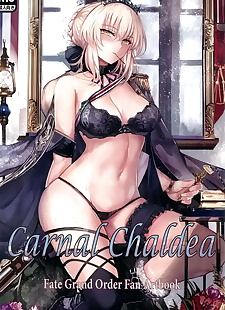 chinese manga Carnal Chaldea, scathach , saber alter , full color , blowjob 