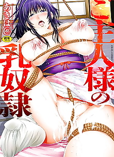 chinese manga Goshujin-sama no Chichi Dorei, full color , ponytail 