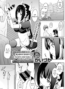 korean manga Houshi Shuzoku ga Yattekita!.., stockings , maid 