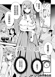chinese manga Hanakago no Toriko, anal , big breasts  twintails