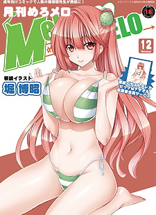  manga MelonBooks Monthly MelomELO Nov.11-2012, full color , bikini  artbook