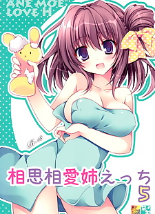 chinese manga Soushisouai Ane Ecchi 5, full color , incest 
